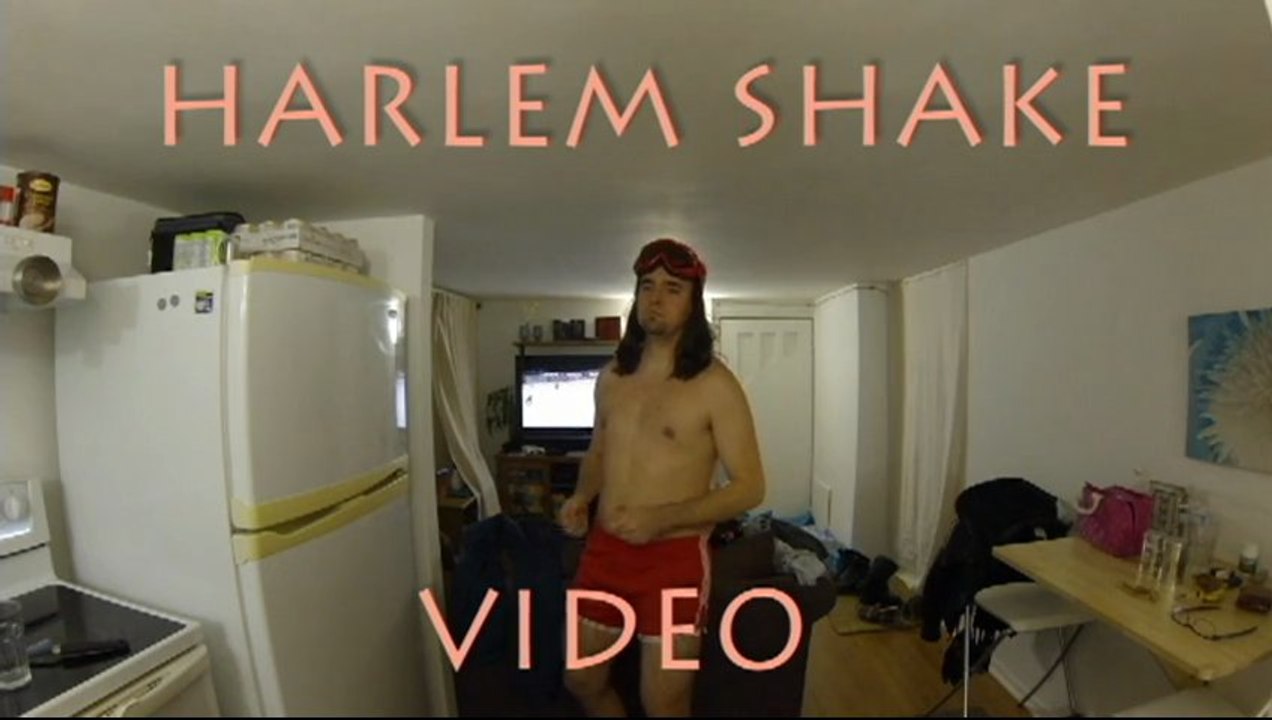 harlem shake for adult