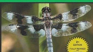 Outdoors Book Review: Common Dragonflies of California by Kathy Biggs, Ray Bruun