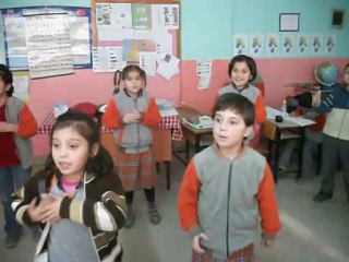 DIMDIM Sertap ERENER