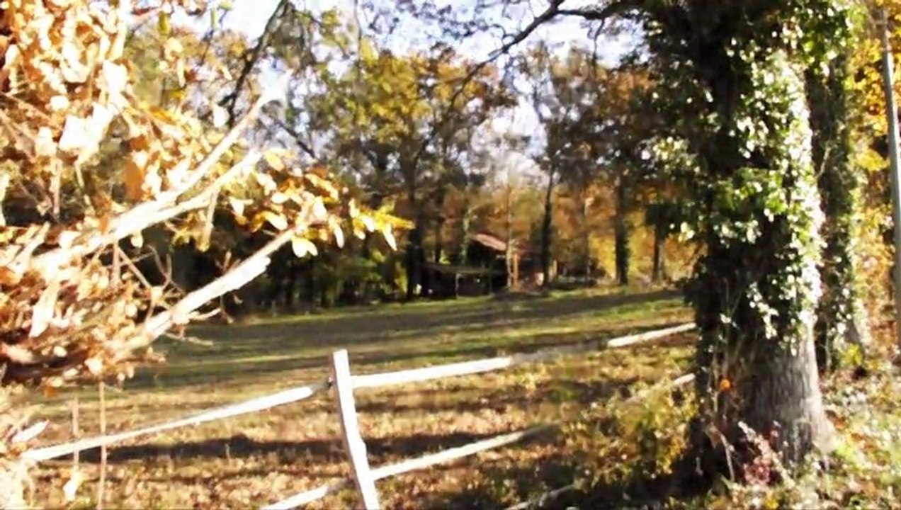 Magie d'automne