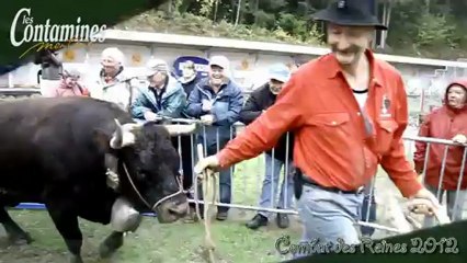 Combat des reines Octobre 2013