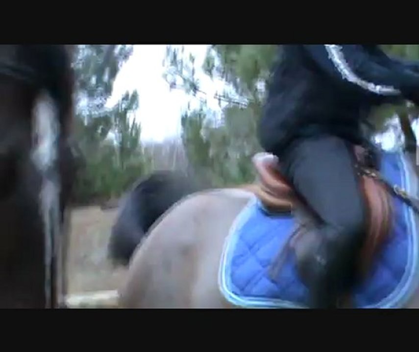 stage st mars cross dorothee