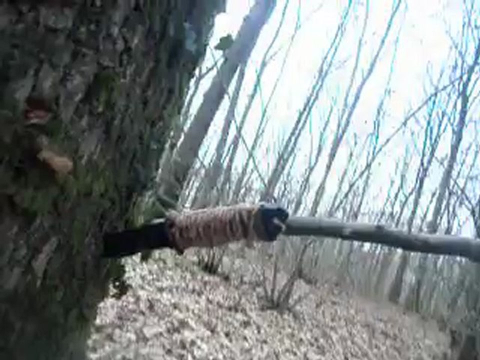 Test et conception d'une lance avec le LFM2 infanterie