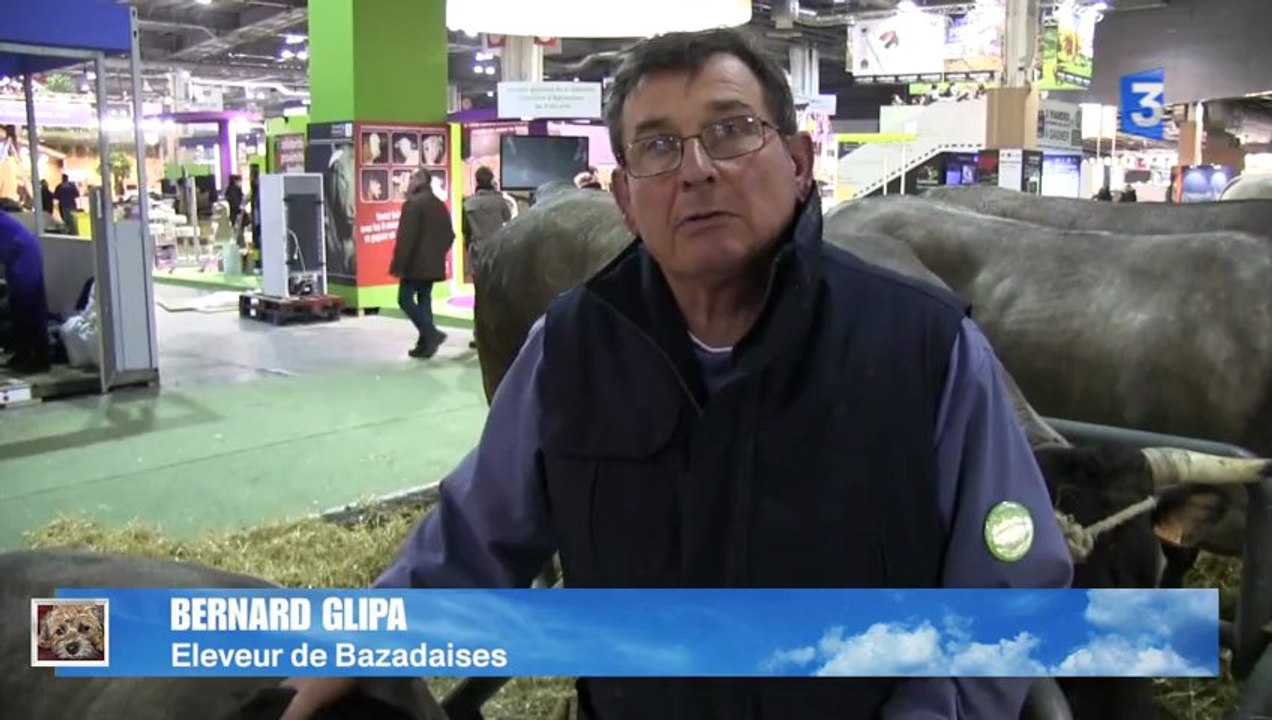 SIA 2013 : Viande chevaline : "un impact positif"