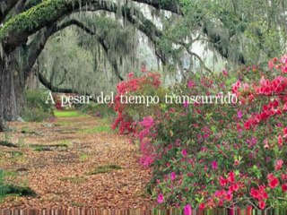 Tú eres importante para mí