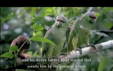 Who is the Happy One  - Shaykh Muhammad Mukhtar Ash-Shinqitee