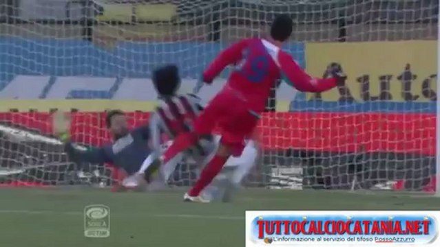SERIE A 2012/2013: Catania Goal Collection (aggiornamento dopo 25 giornate)
