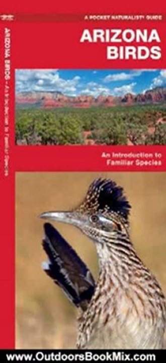Outdoors Book Review: Arizona Birds: An Introduction to Familiar Species (State Nature Guides) by James Kavanagh