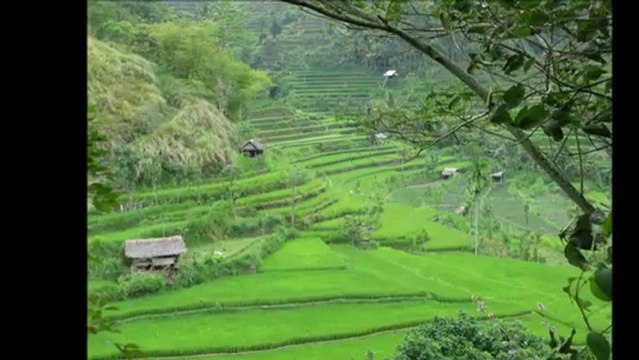 One Day I'll Fly Away