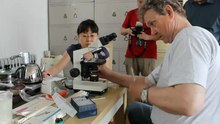 INTRODUCTION OF ARTIFICIAL INSEMINATION FOR RACING PIGEONS AT BEIJING CHINA BY HARRY GEURTS 2013. contact harrygeurts@hotmail.be +32478459853