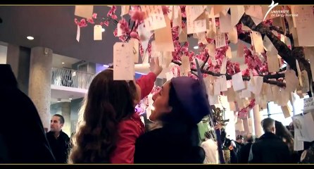 Cérémonie des diplômes 2013