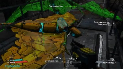 Borderlands S&S Loyalty Roland (Gunman): Part 61