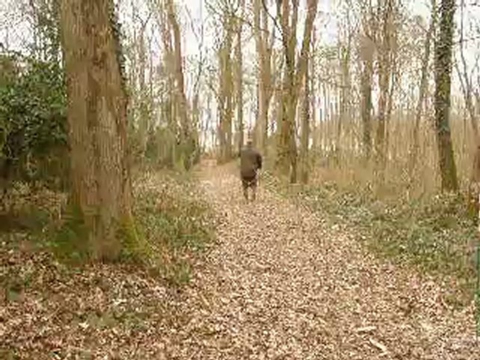 everly map et coup de feu a droite sur un aveugle