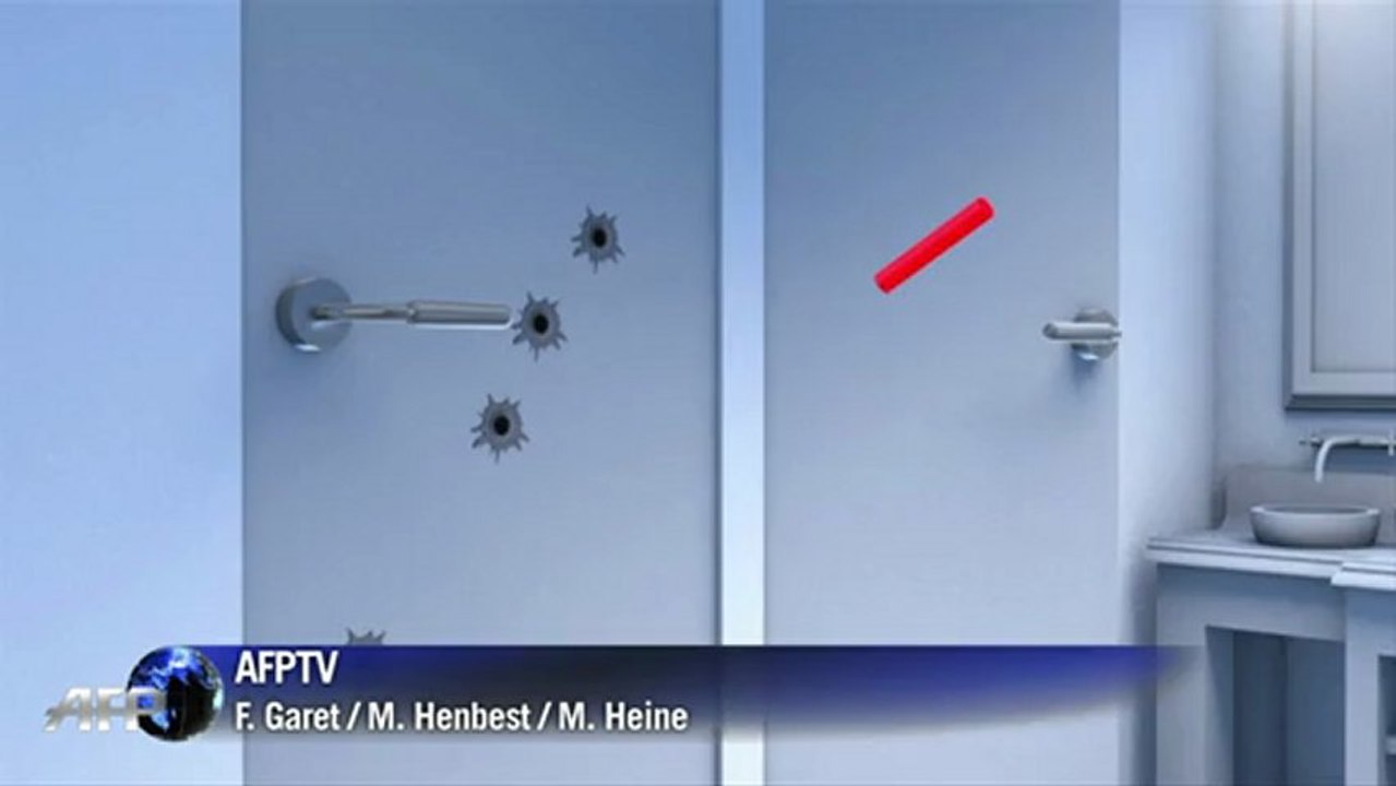 Todesschüsse von Pistorius: Möglicher Ablauf (Videografik)