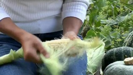 GD SE09E09 - The Cambridgeshire Eco Home - Cambridgeshire (revisited)