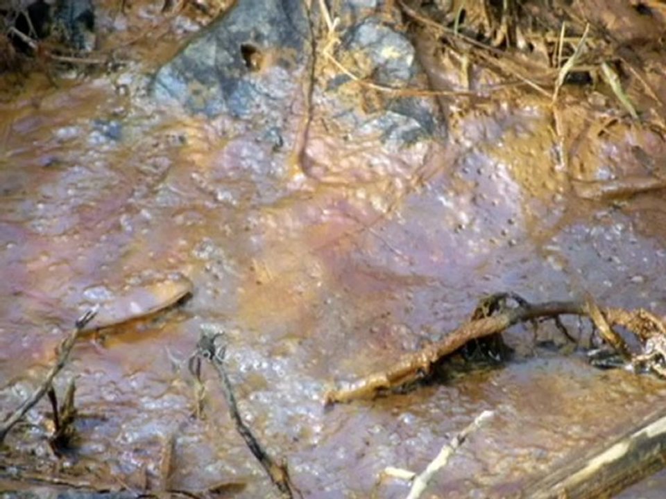 La Cèze, le vingt trois février deux mille treize