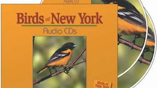 CD Book Review: Birds of New York Audio CDs: Companion to the Birds of New York Field Guide by Stan Tekiela