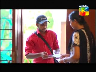 Sitamgar Episode 16 HUM TV Drama(1)