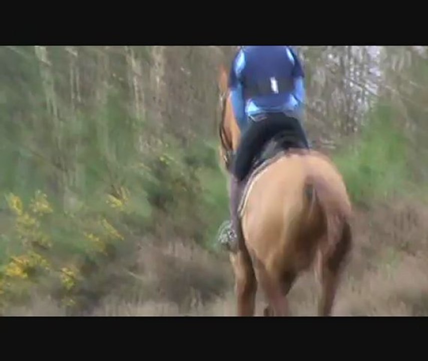 stage st mars cross sandrine