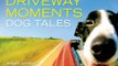 Fun Book Review: NPR Driveway Moments Dog Tales: Radio Stories That Won't Let You Go by NPR, Andrea Seabrook