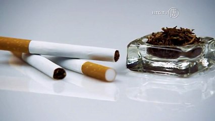 Smoking Ban Persists in Ukrainian Cafes and Bars