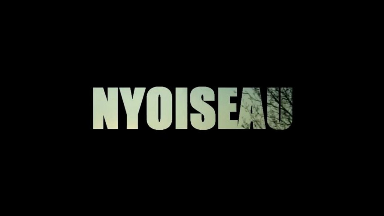 NYOISEAU 2013