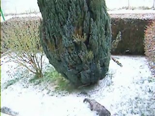 neige à 11h ce matin