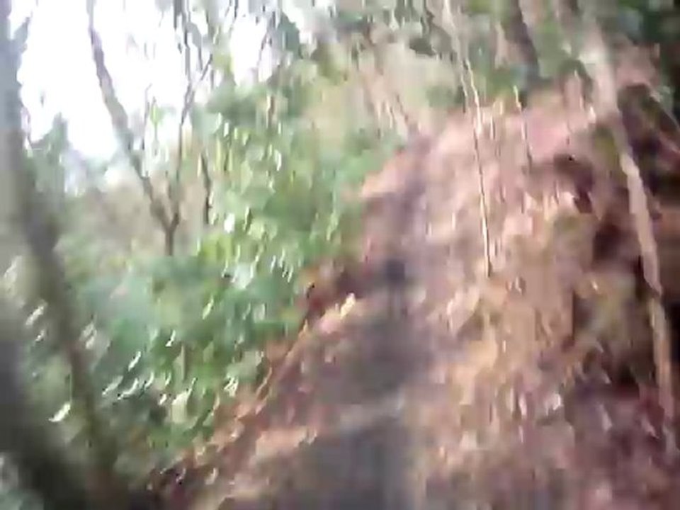 Boucle enduro en Ile De France
