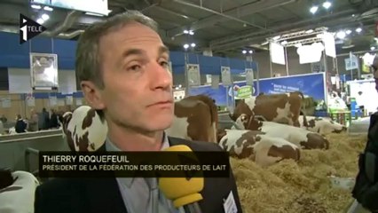 Les incertitudes des producteurs de lait