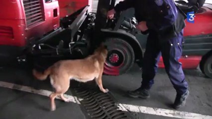 SIA 2013 : Démonstration d'une recherche d'explosifs factices