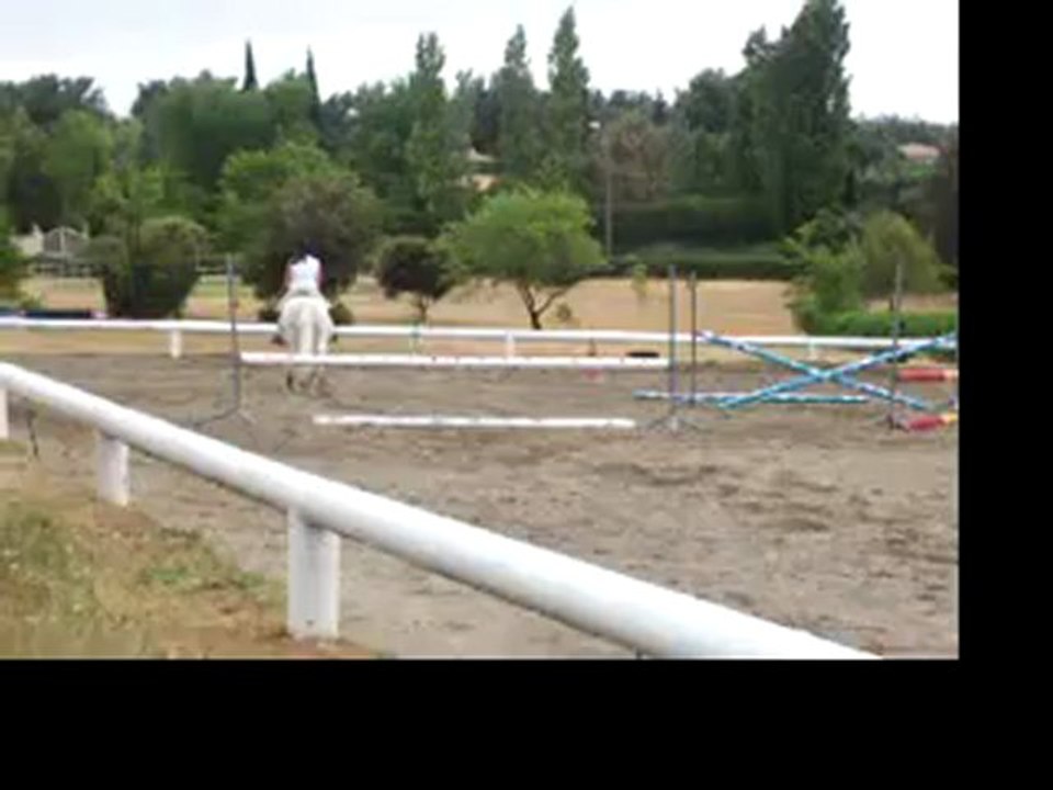 appolo : Galop 5 en 2006