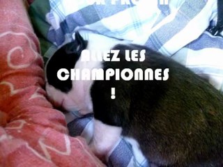 [Agility] 10.08.30 Entrainement à Sainte-Maure