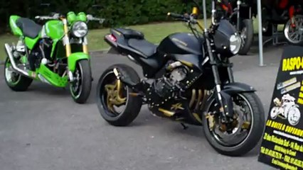 600 HORNET Blackout by Raspo-Concept