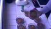 Mousse au chocolat recettes-pas-bête (recette facile et rapide)