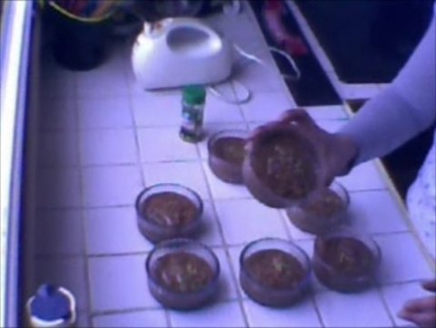Mousse au chocolat recettes-pas-bête (recette facile et rapide)