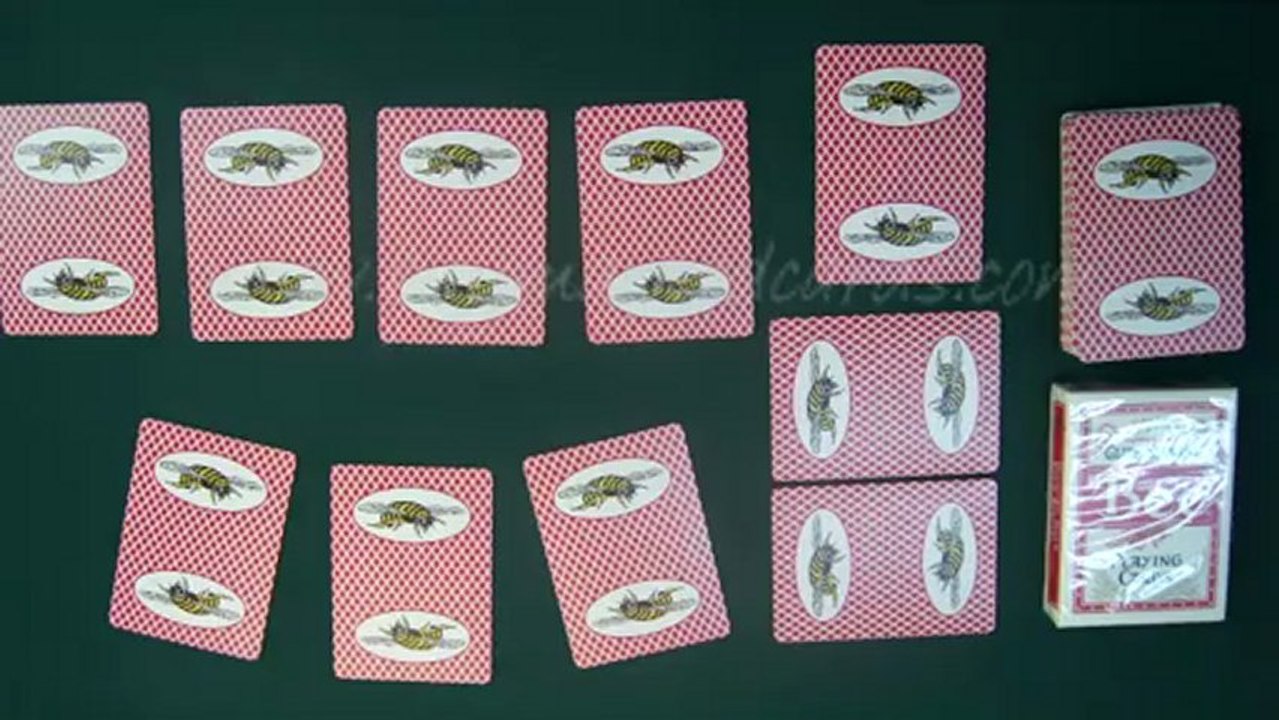 plast spelkort--Bee(With Picture)--poker fuska