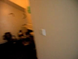 visite guidée de la maison