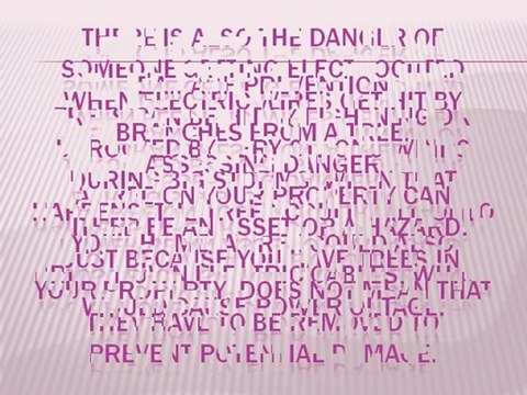 Importance of Removing Dangerous Trees on Your Property