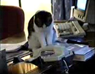 월드카지노 ‥→》 Q­c­h­1­3­8­.­c­o­m 《←‥ 비비카지노