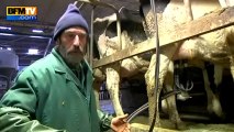 Eleveur laitier : augmenter le litre de quelques centimes pour sauver les exploitations - 25/02