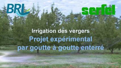 Irrigation des vergers - Projet expérimental par goutte à goutte enterré