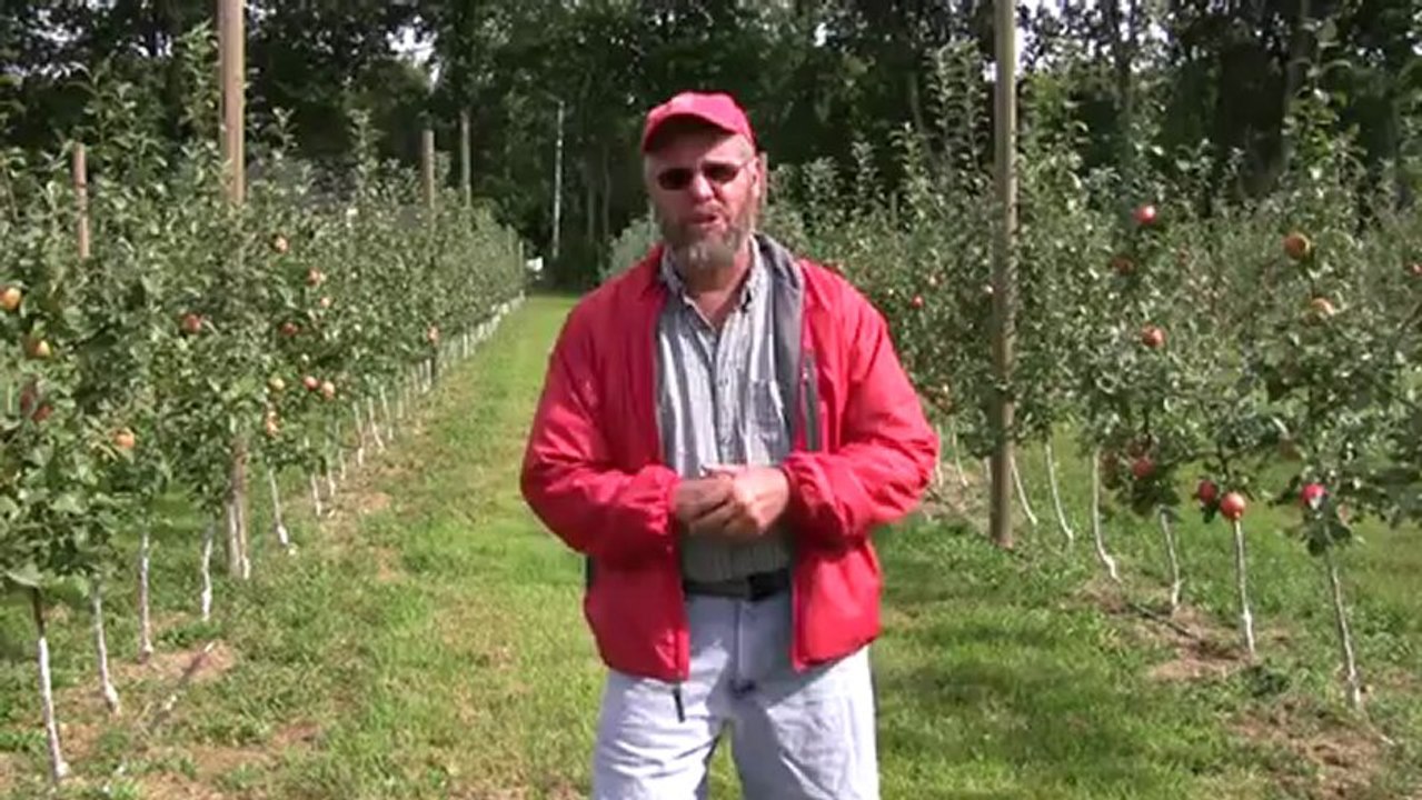 m9 telli terbiye sistemi 2.yıl