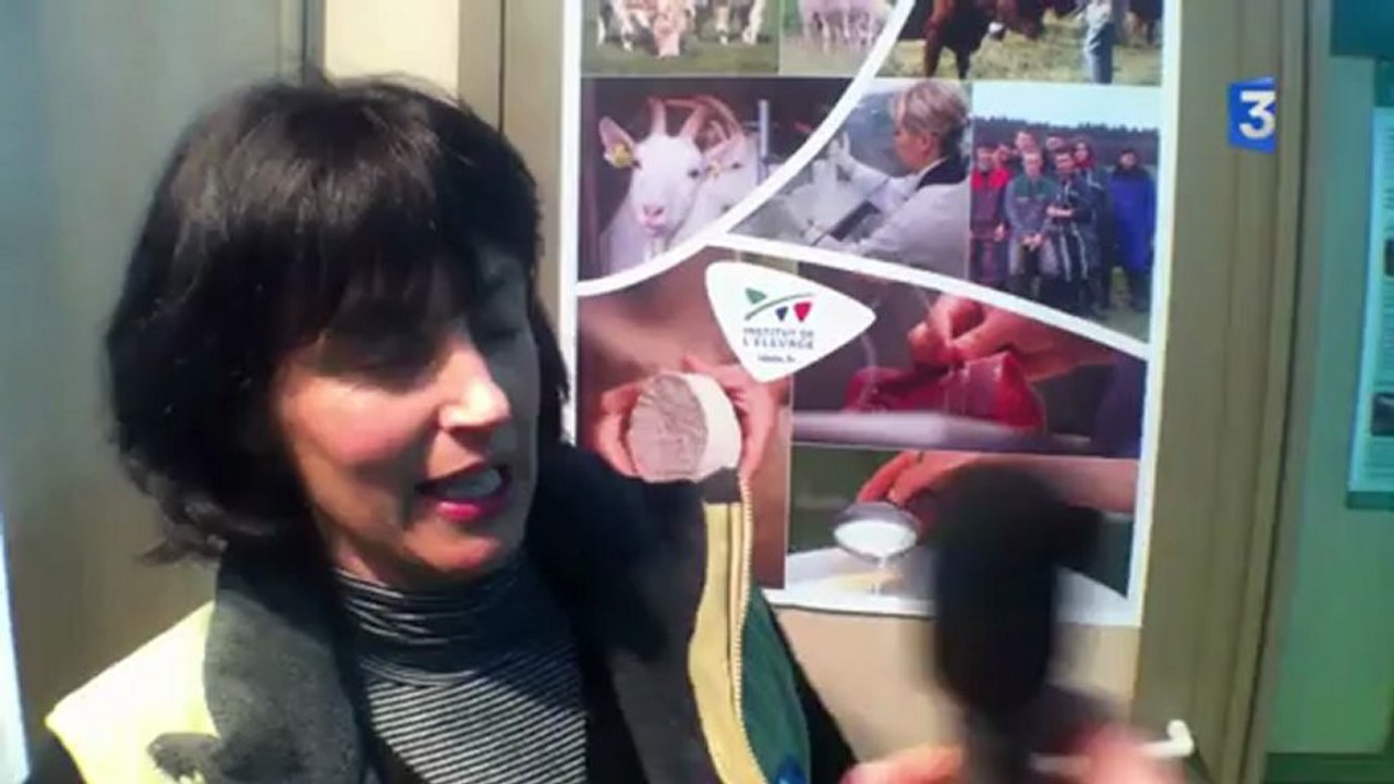 SIA 2013 : Interview Sandrine Dangla sur la conservation des races