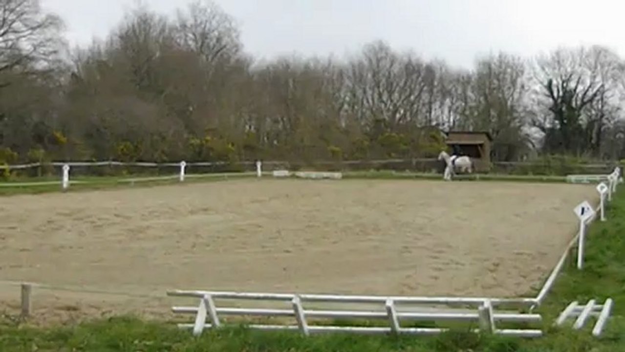 Dressage pirouette