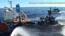 New video of Sea Shepherd collision with Japanese whalers