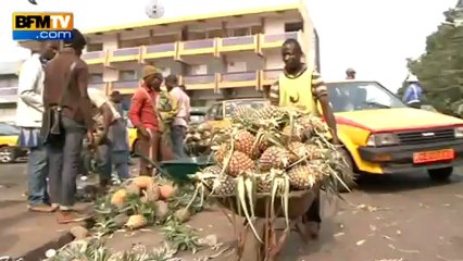 La polémique autour de la sécurité des touristes au Cameroun enfle - 25/02