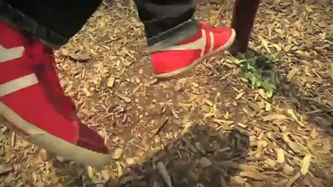 Happy Ukulele Instrumental Background Music - Simple Pleasures