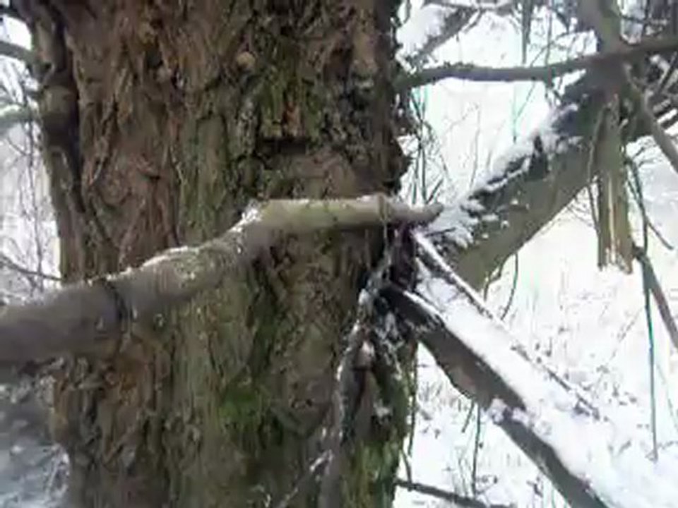 Mon abri réaliser ce matin