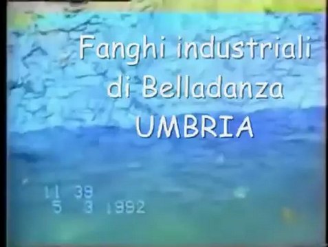 Dalle aule scolastiche alle aule parlamentari