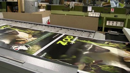 Impression visuels 2013